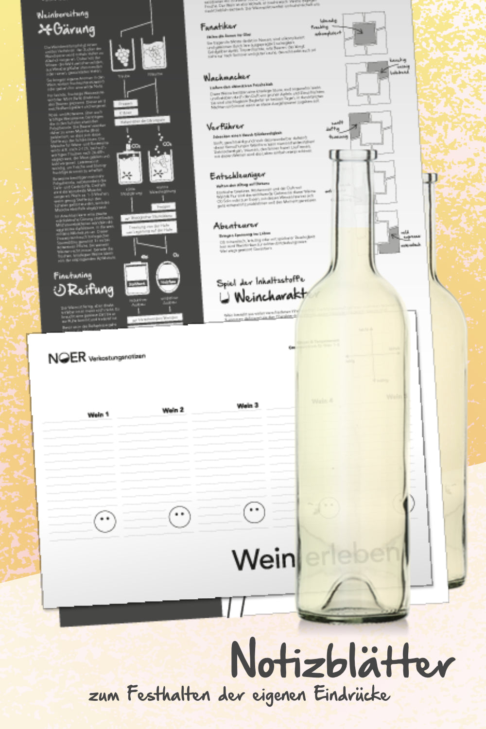 NOER Weinproben-Paket Grauburgunder Trilogie (Bild 5)
