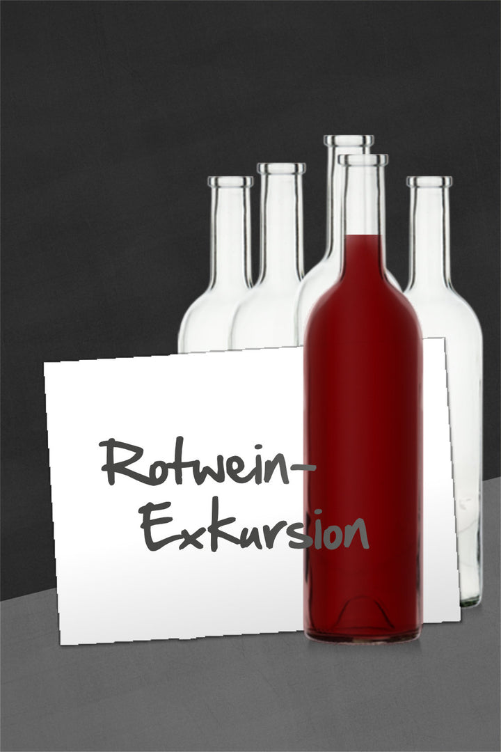 NOER Weinproben-Paket Rotwein-Exkursion (Bild 1)