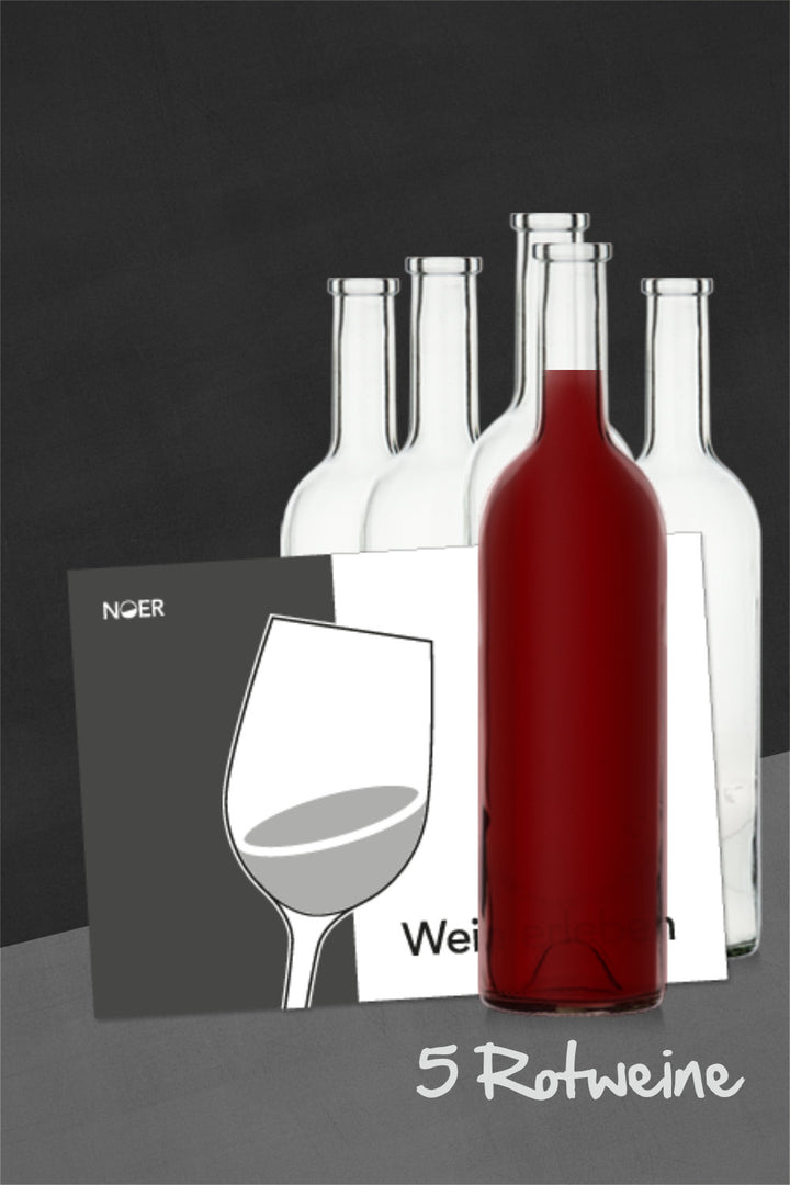 NOER Weinproben-Paket Rotwein-Exkursion (Bild 2)