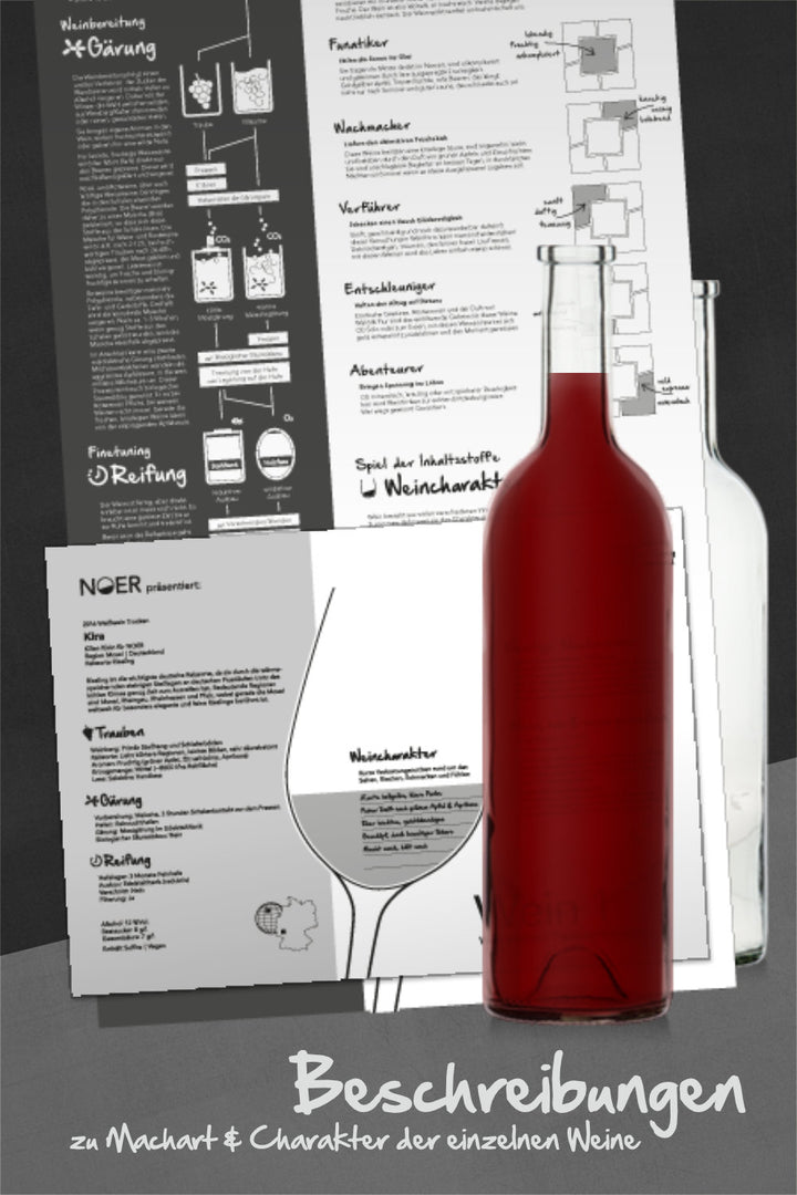 NOER Weinproben-Paket Rotwein-Exkursion (Bild 4)