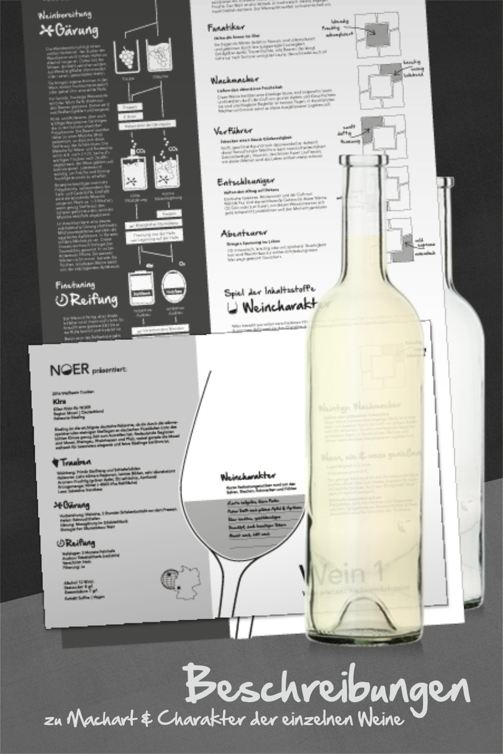 NOER Weinproben-Paket Weisswein-Exkursion (Bild 4)